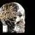 Арт-объект Lost in Time от Berd Vaye (Small Skull - Малый череп) Berd Vaye